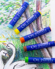 25 Colors Oil Pastels