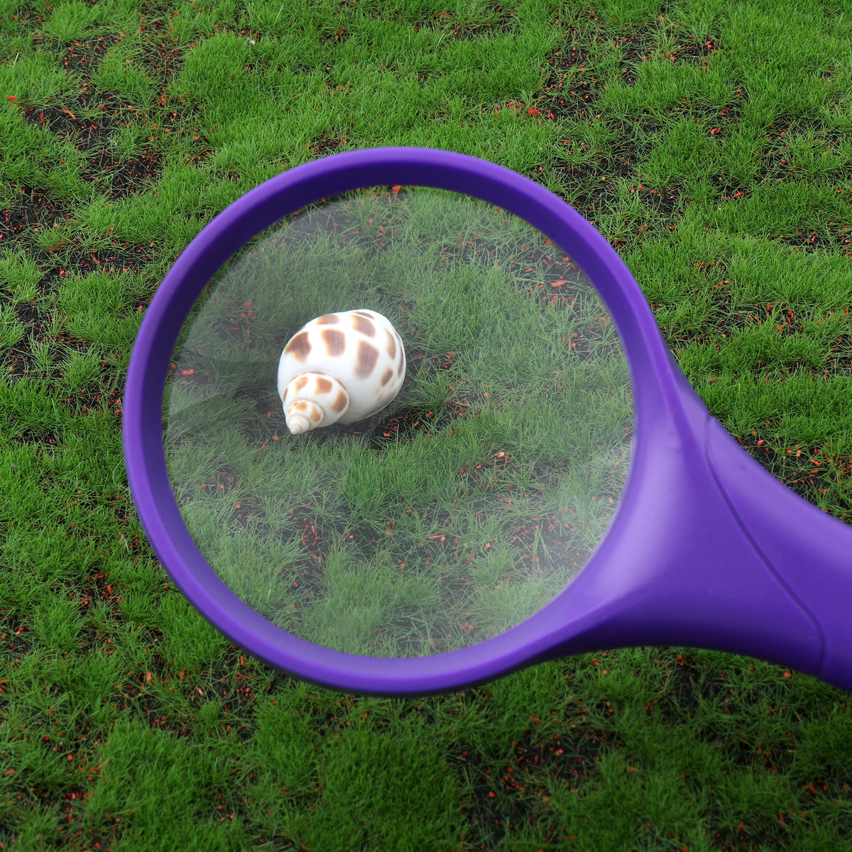 3 in Round 2x Handheld Magnifier, Assorted Colors