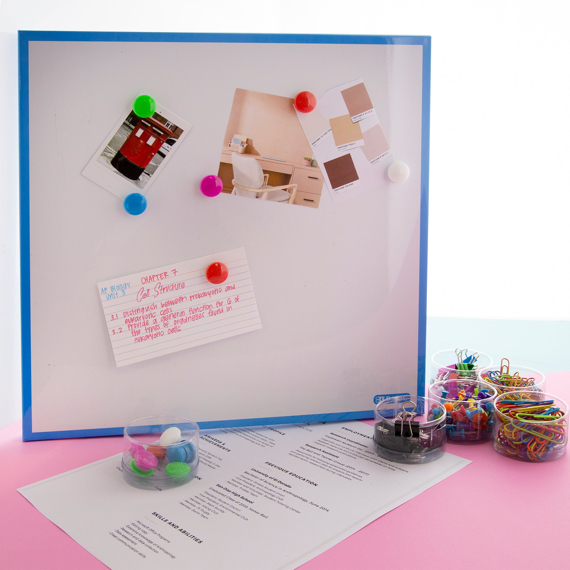 Office Supply Combo Set, Clips Pins and Buttons
