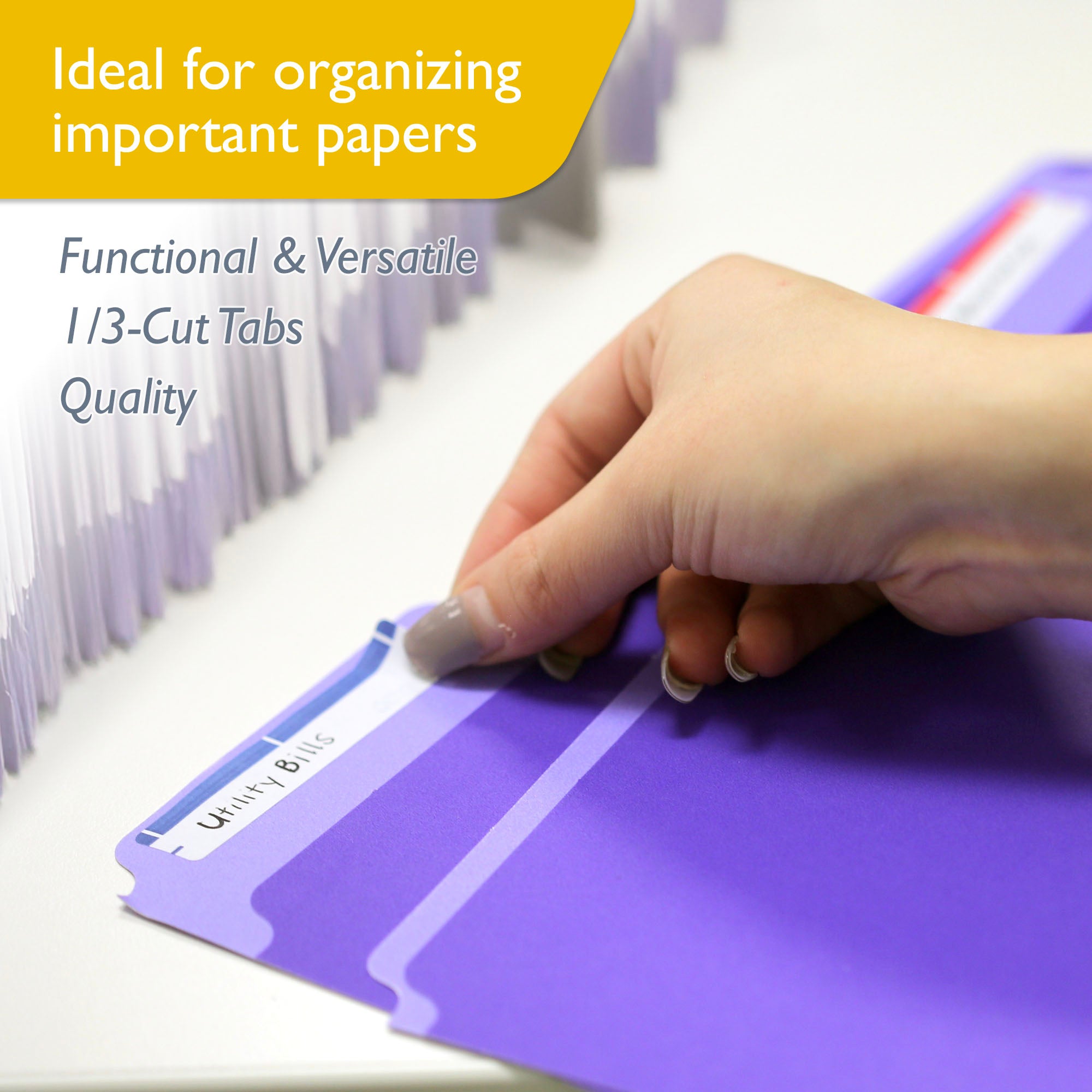 Color File Folders, Letter Size, 1/3 Cut, 6 Count