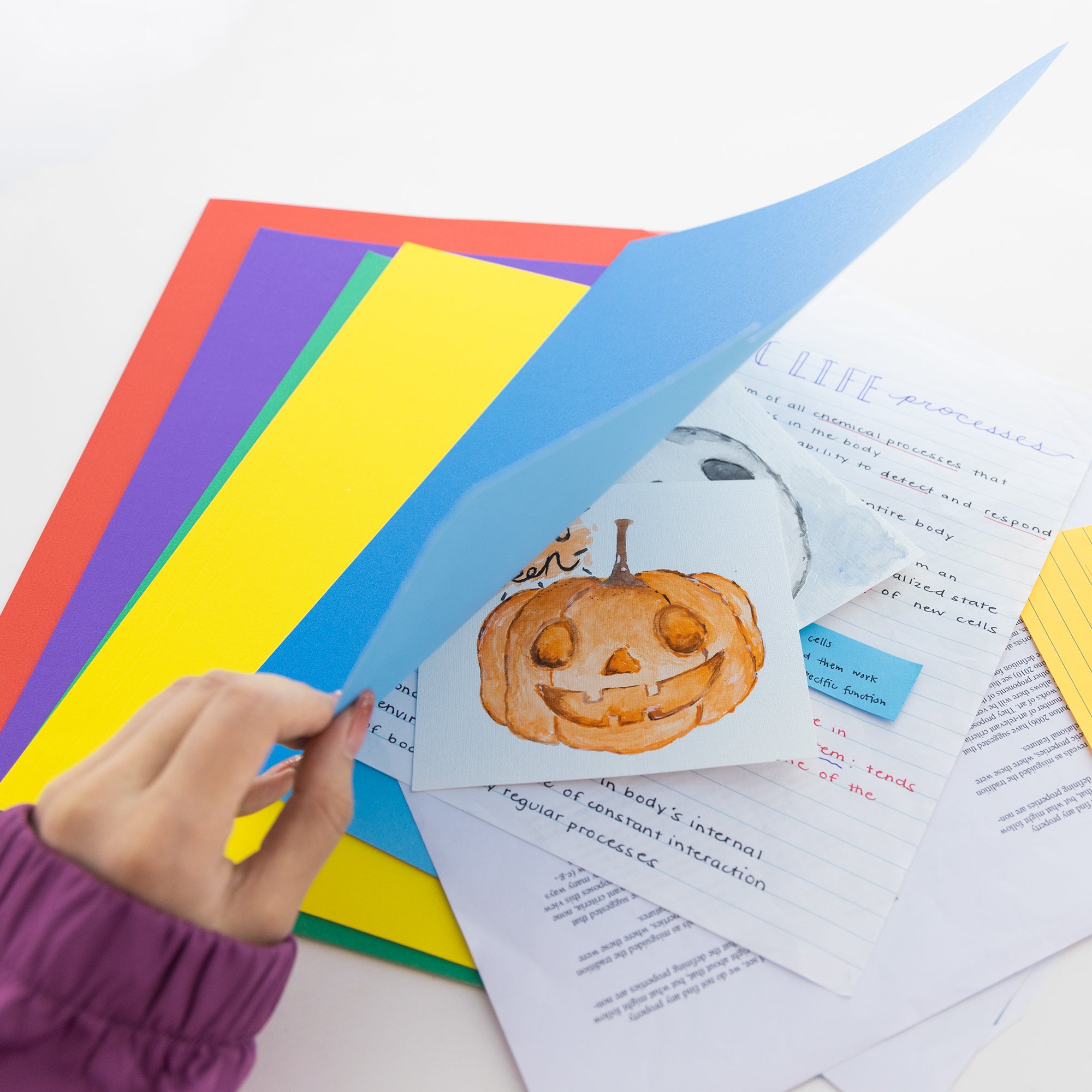 Letter Color File Folders, 1/3-Cut, 100 Count