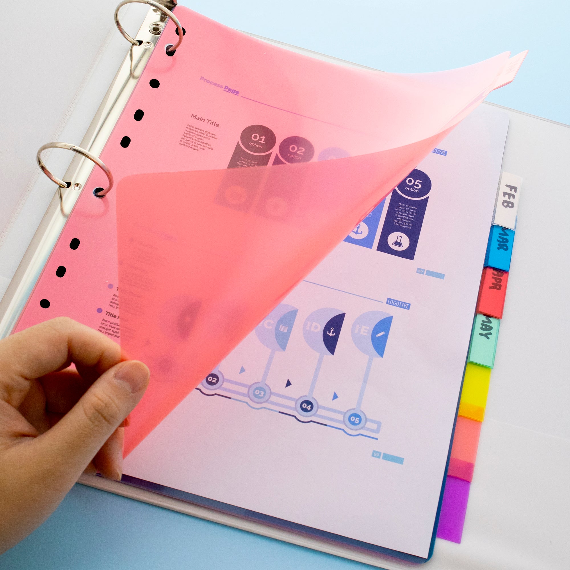 Insertable Plastic Divider, 8 Tabs