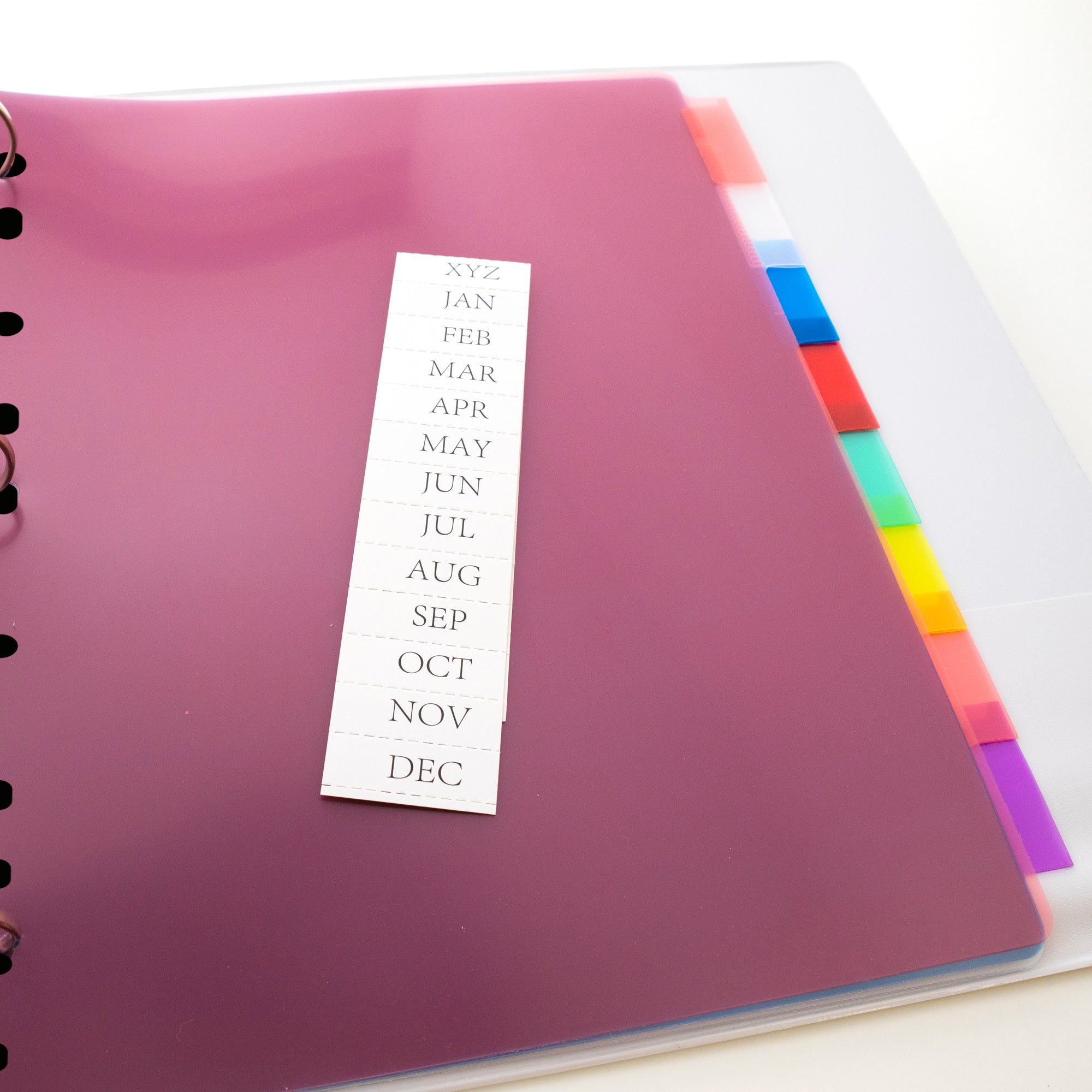 Insertable Plastic Divider, 8 Tabs