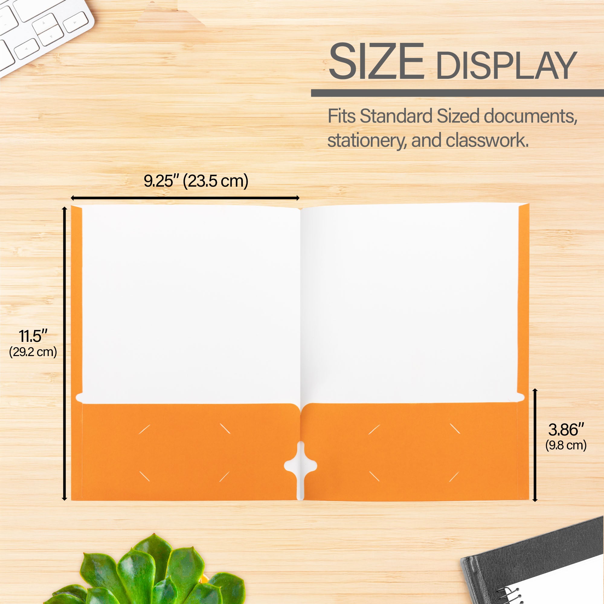 2-Pocket Portfolios, Assorted Colors