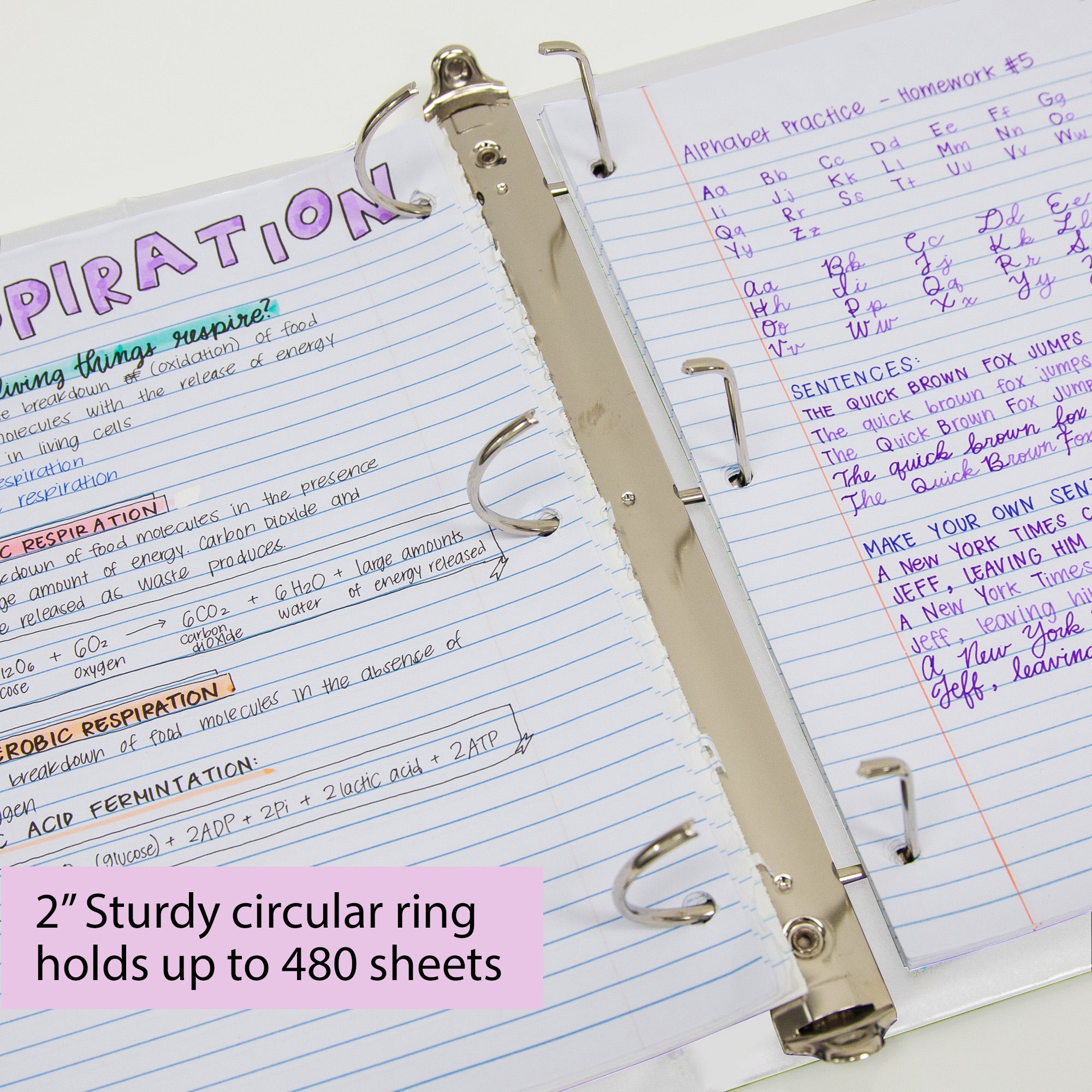 2 in White Slant-D Ring View Binder, Durable Poly Cover