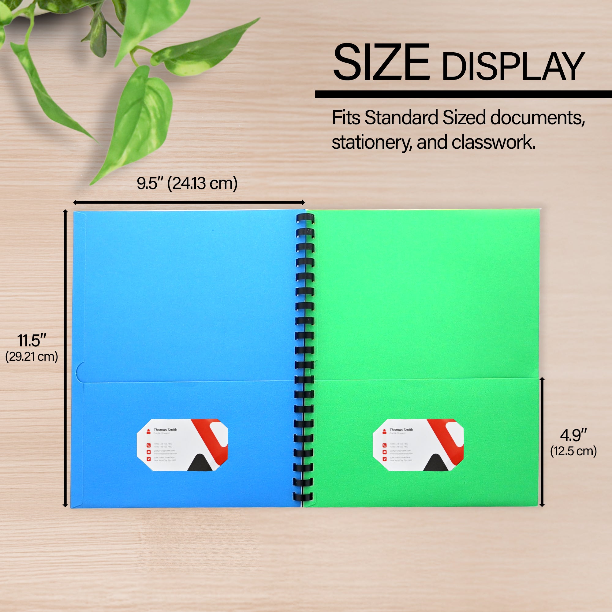 Assorted Color Paper 8-Pocket Organizer, Letter Size