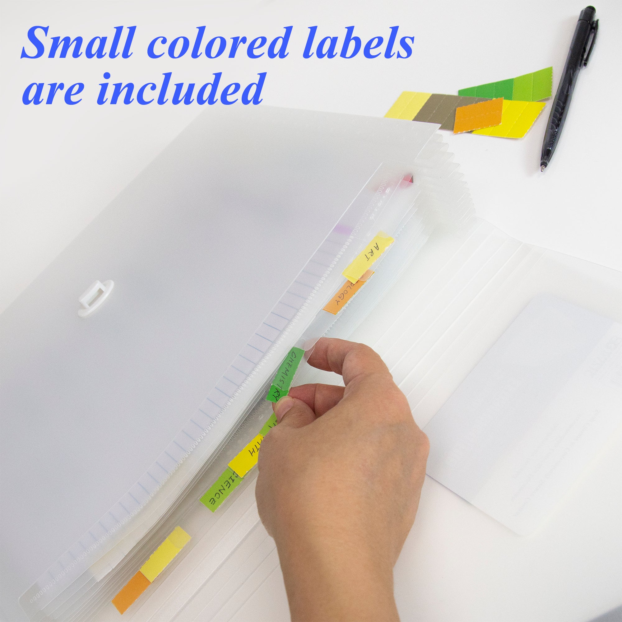Translucent 13-Pocket Expanding File, Letter