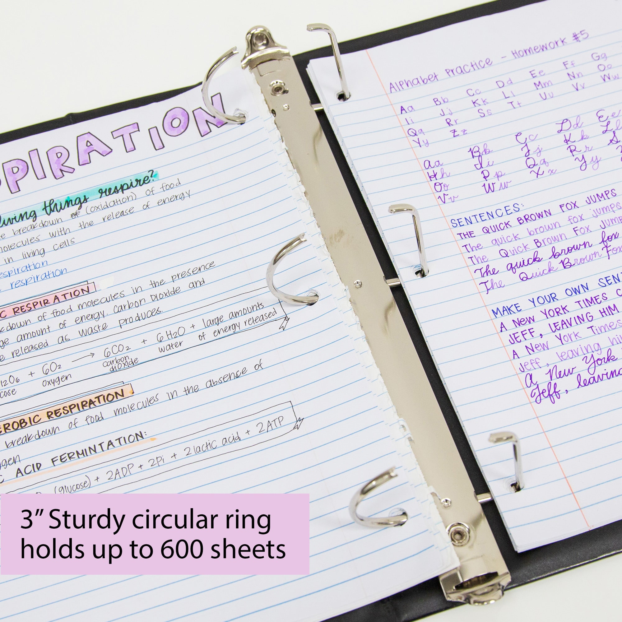 3 in Black Slant-D Ring View Binder, 2 Pockets