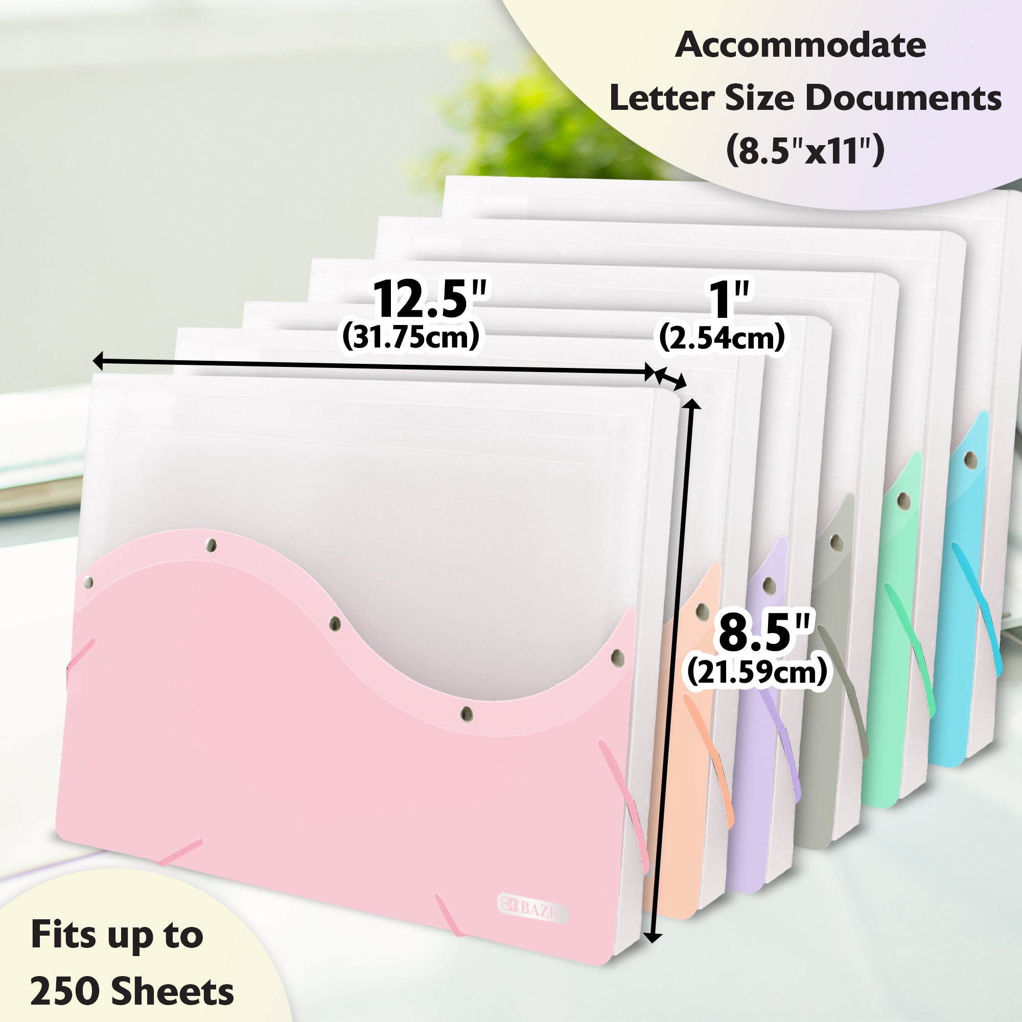 Two Tone Document Case, Letter Size, Flexible Poly Shell