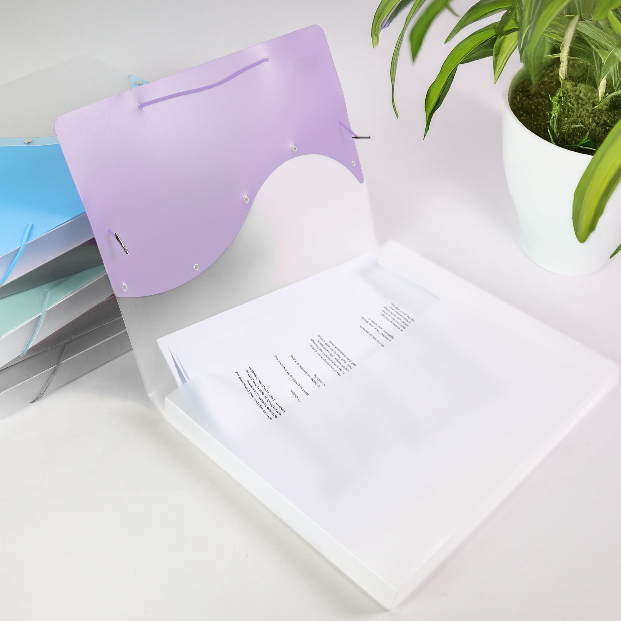 Two-Tone Document Case, Letter Size, Holds 250 Sheets