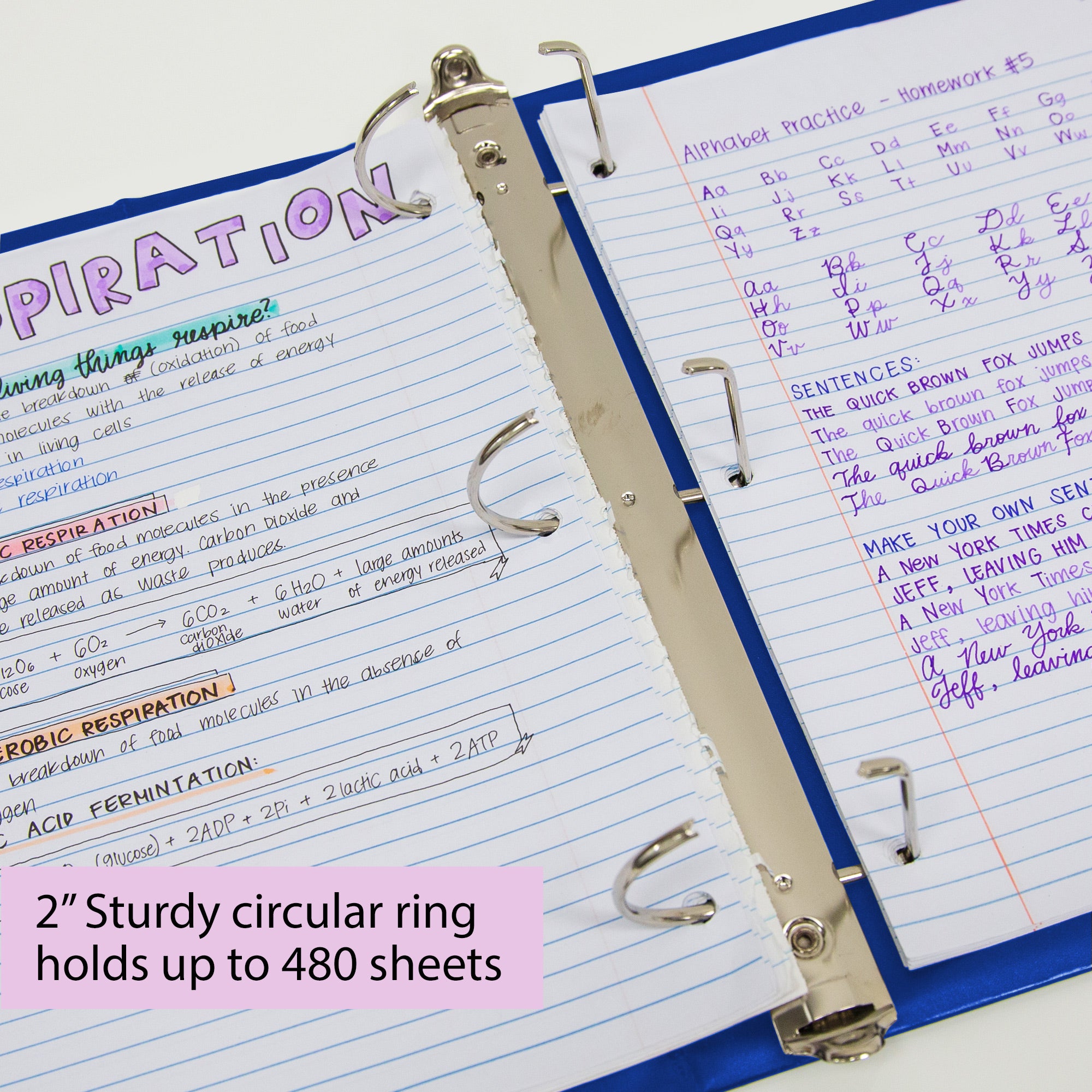2 Inch View Binder, 3 Ring D-Ring, Holds 480 Sheets, Blue