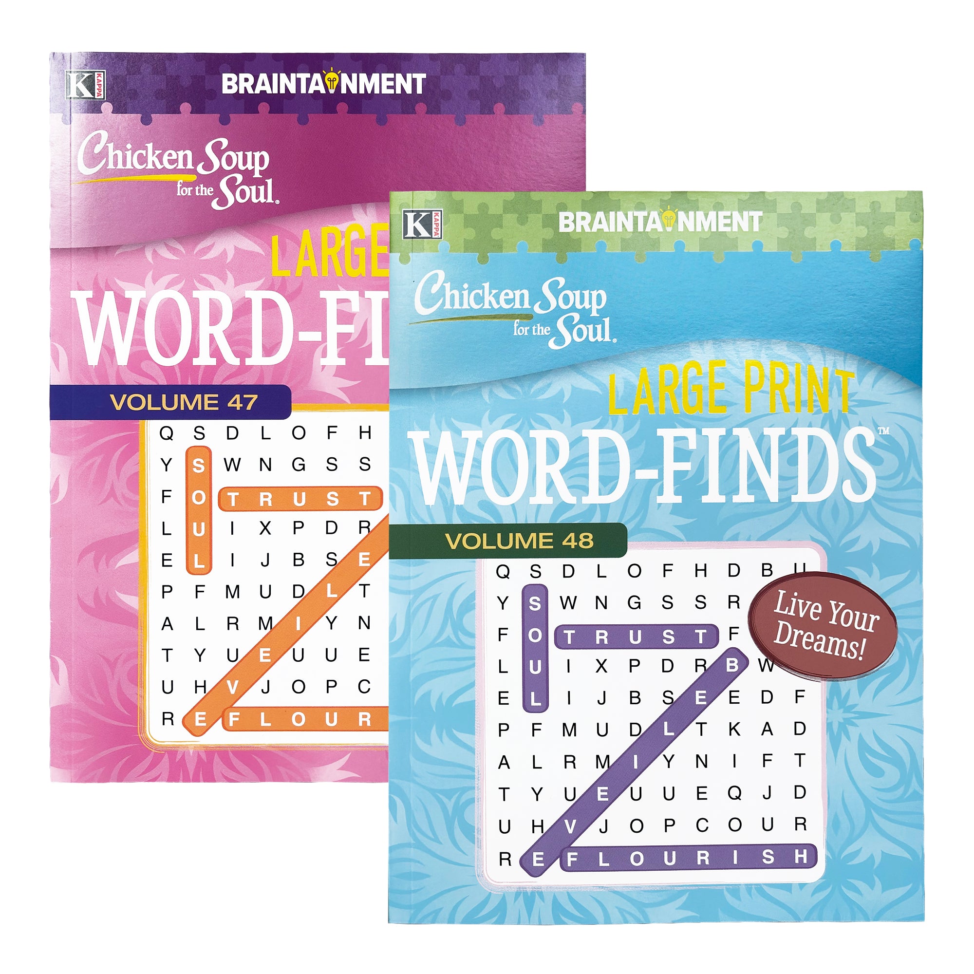 Large Print Chicken Soup For The Soul Word Finds Puzzle Book