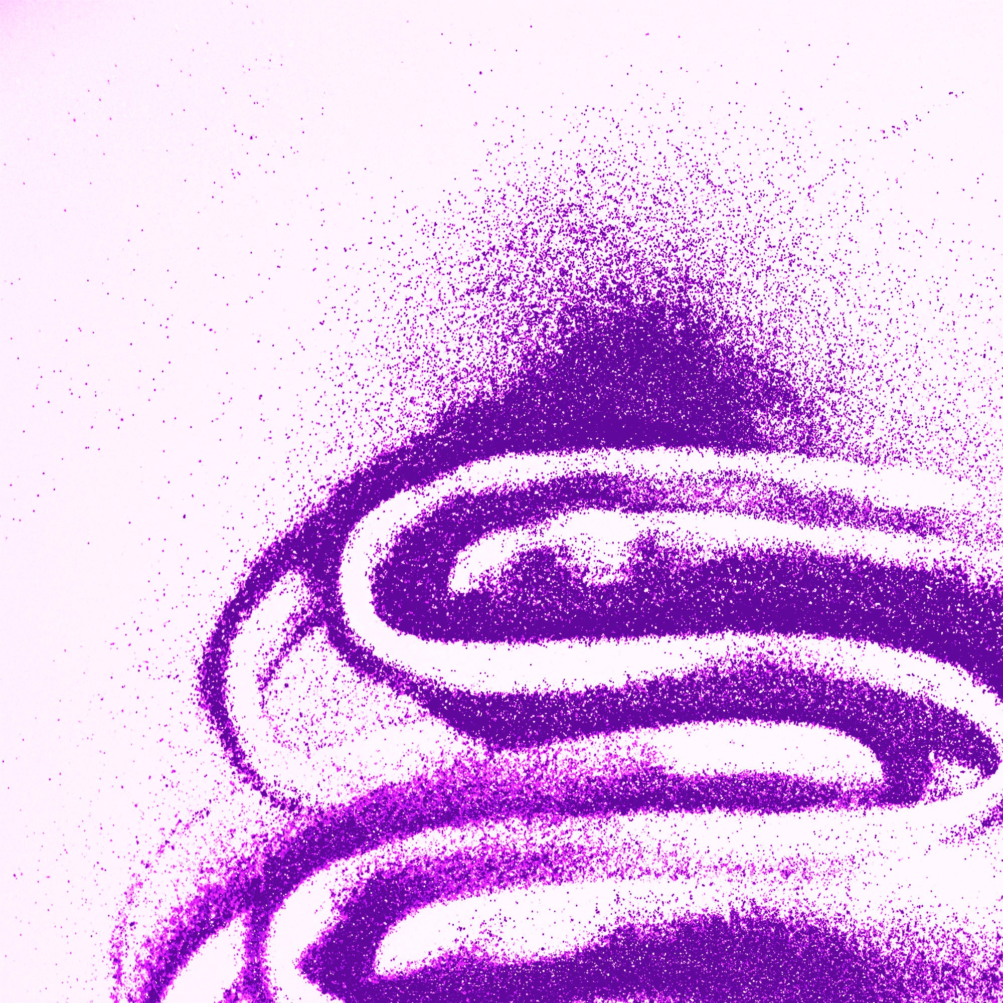 1lb / 16 oz Purple Glitter