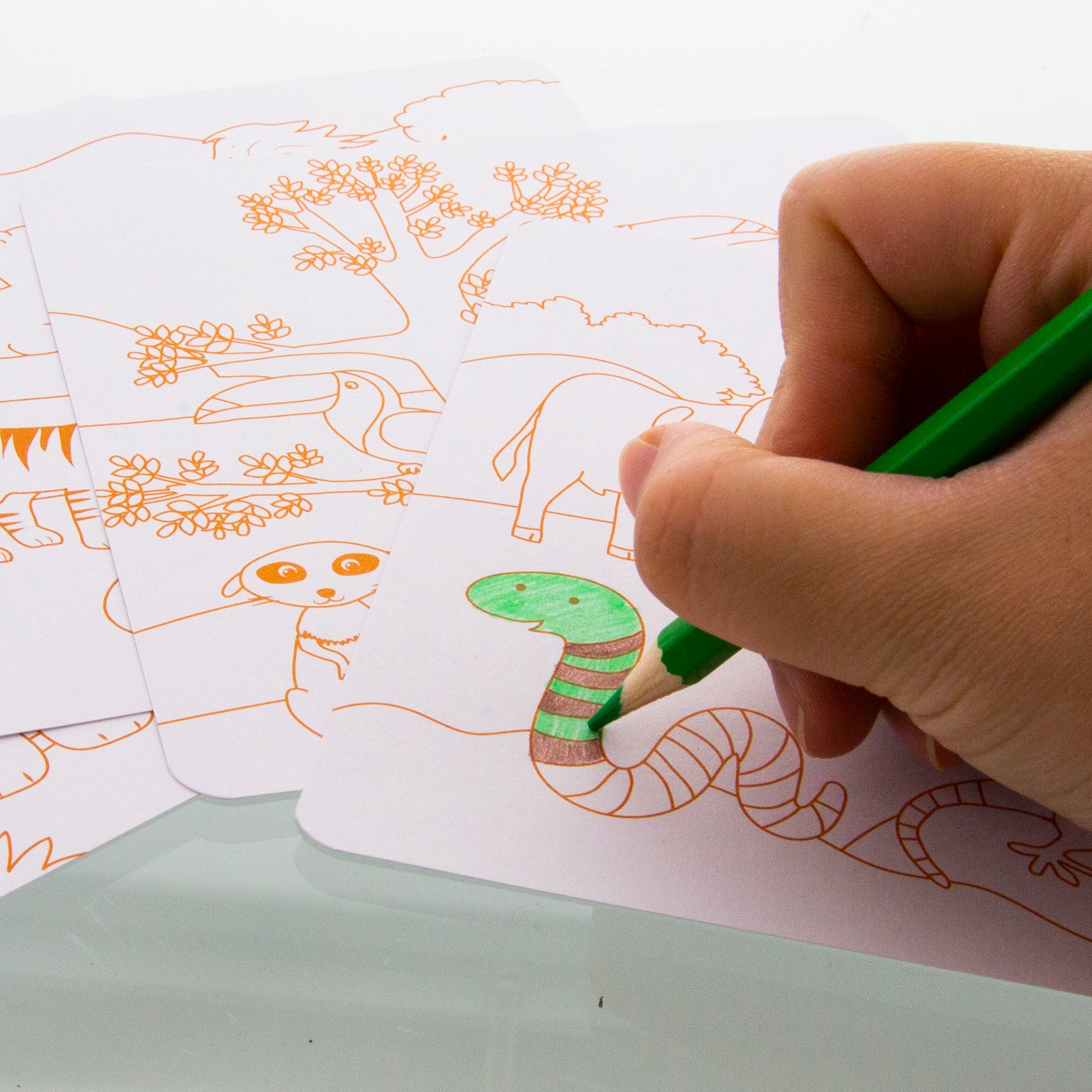 Animal Stickers & Activity Sheets, 80 Stickers