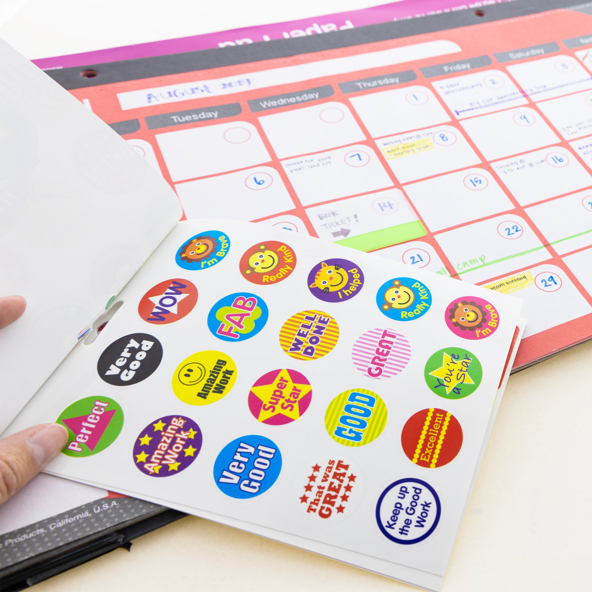 Reusable Reward Sticker Book, Over 120 Stickers