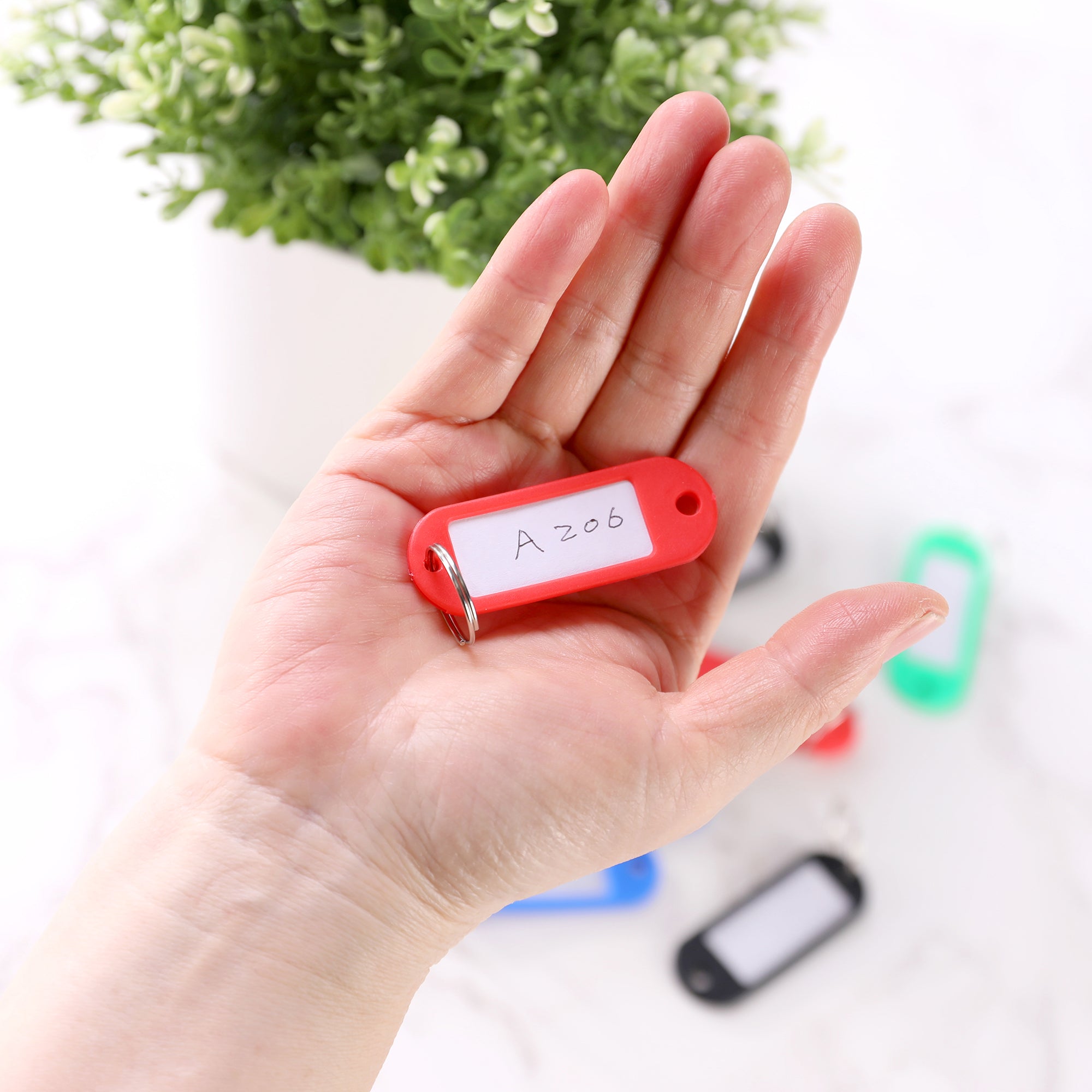 Key Tag with Label Window (8/Pack)