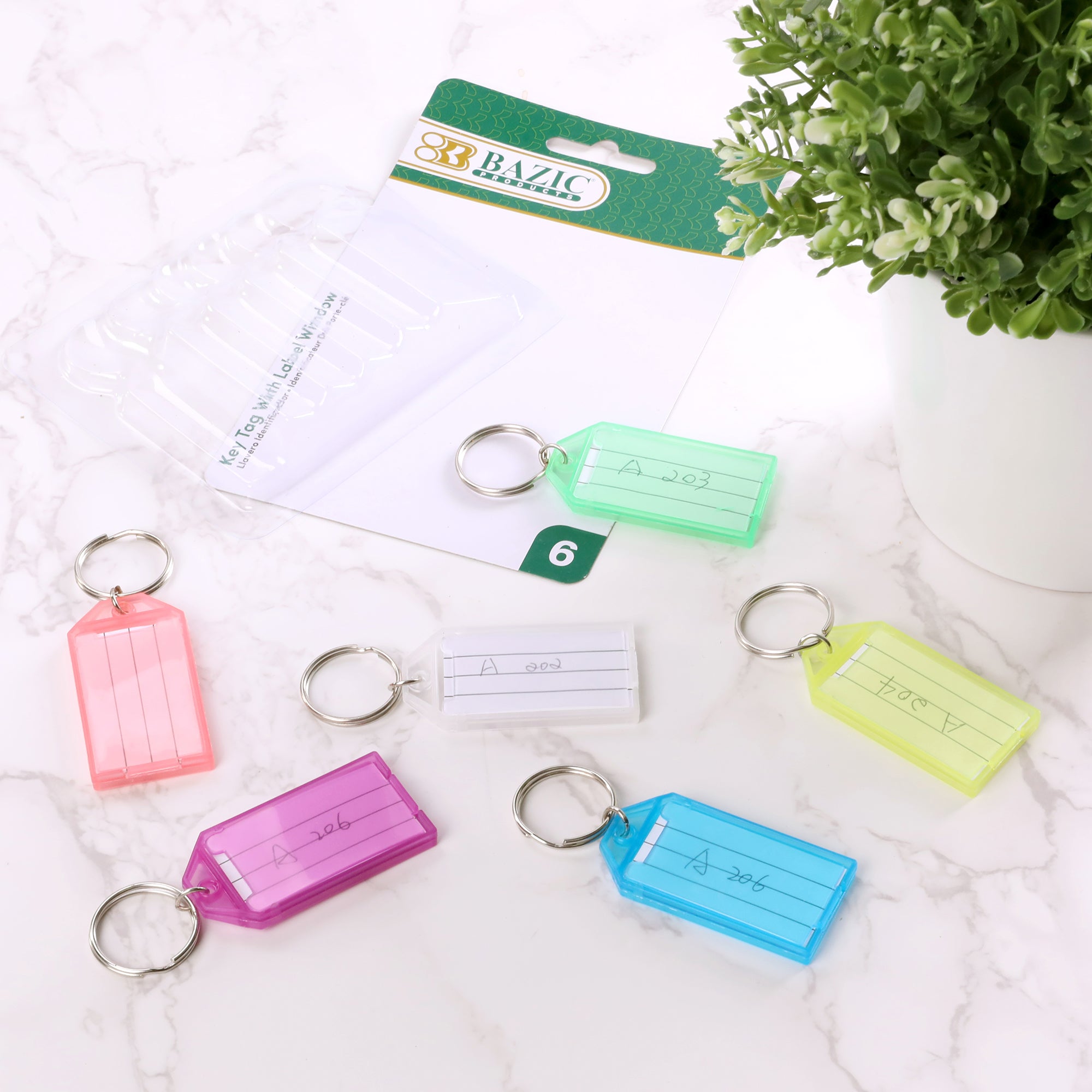 Key Tags with Holder & Label Window (6/Pack)