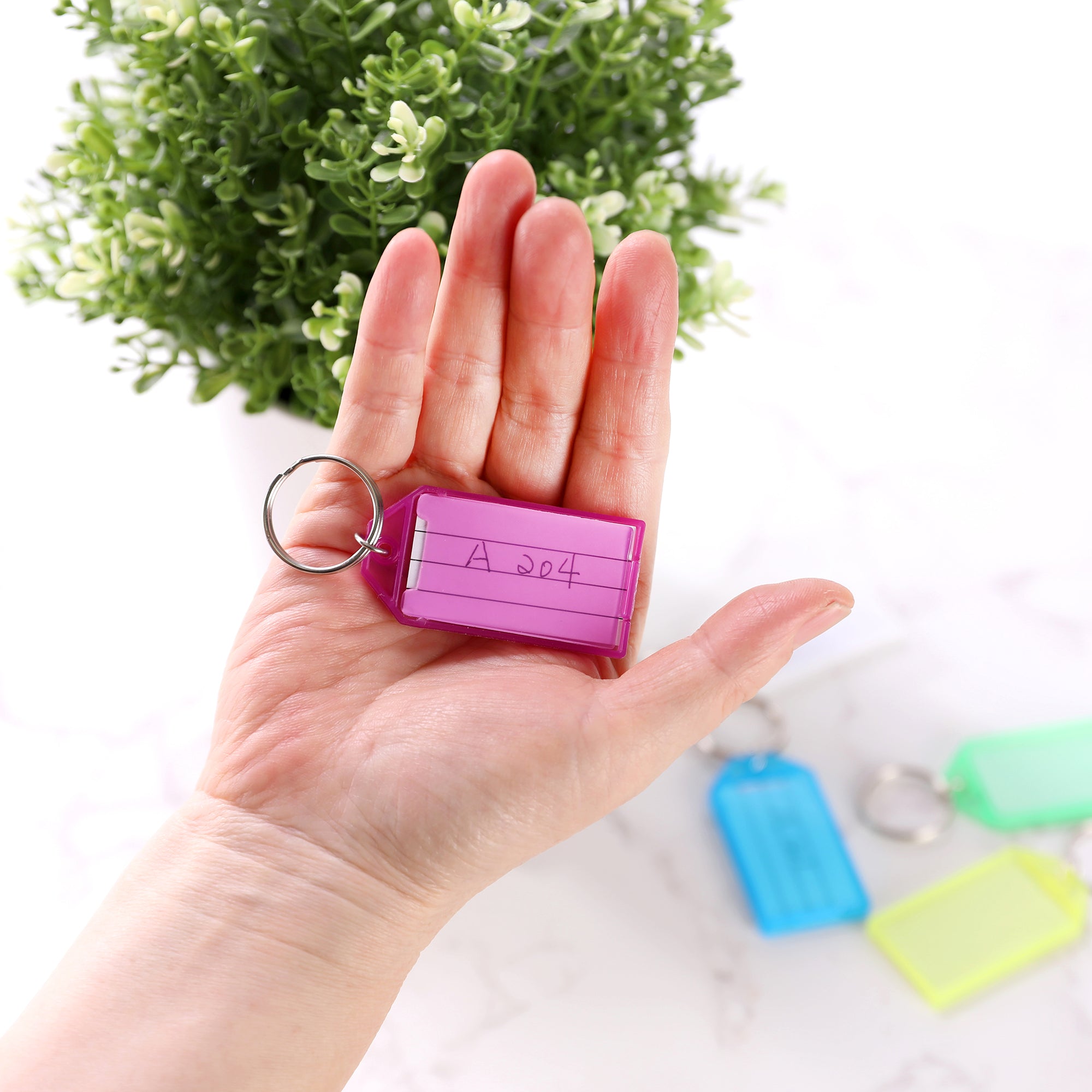 Key Tags with Holder & Label Window (6/Pack)