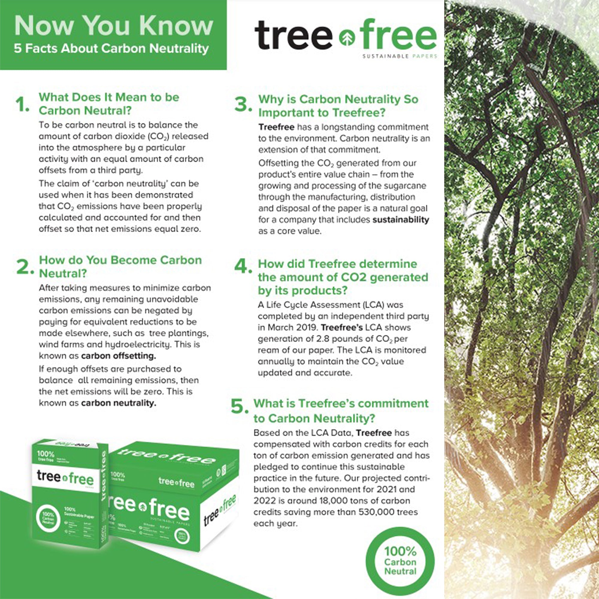 TREE FREE 8.5&quot; X 11&quot; White Copy Paper 100,000 Sheets (20 Cases/Pallet)