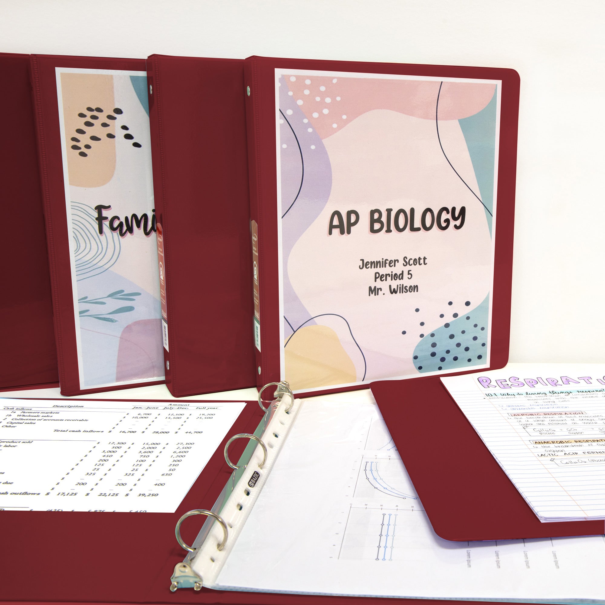 1 Inch Burgundy View Binder, 3 Ring, Holds 175 Sheets