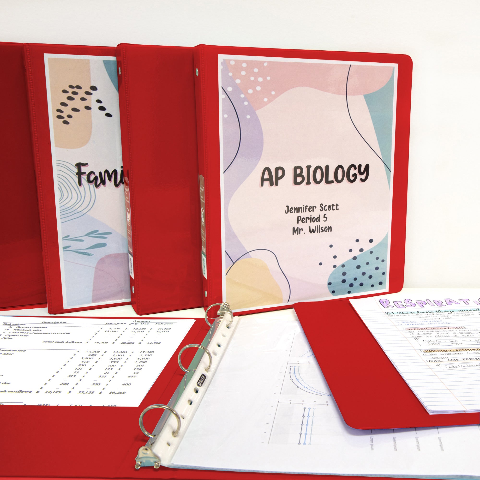 1 Inch Red View Binder, 3 Ring, Holds 175 Sheets