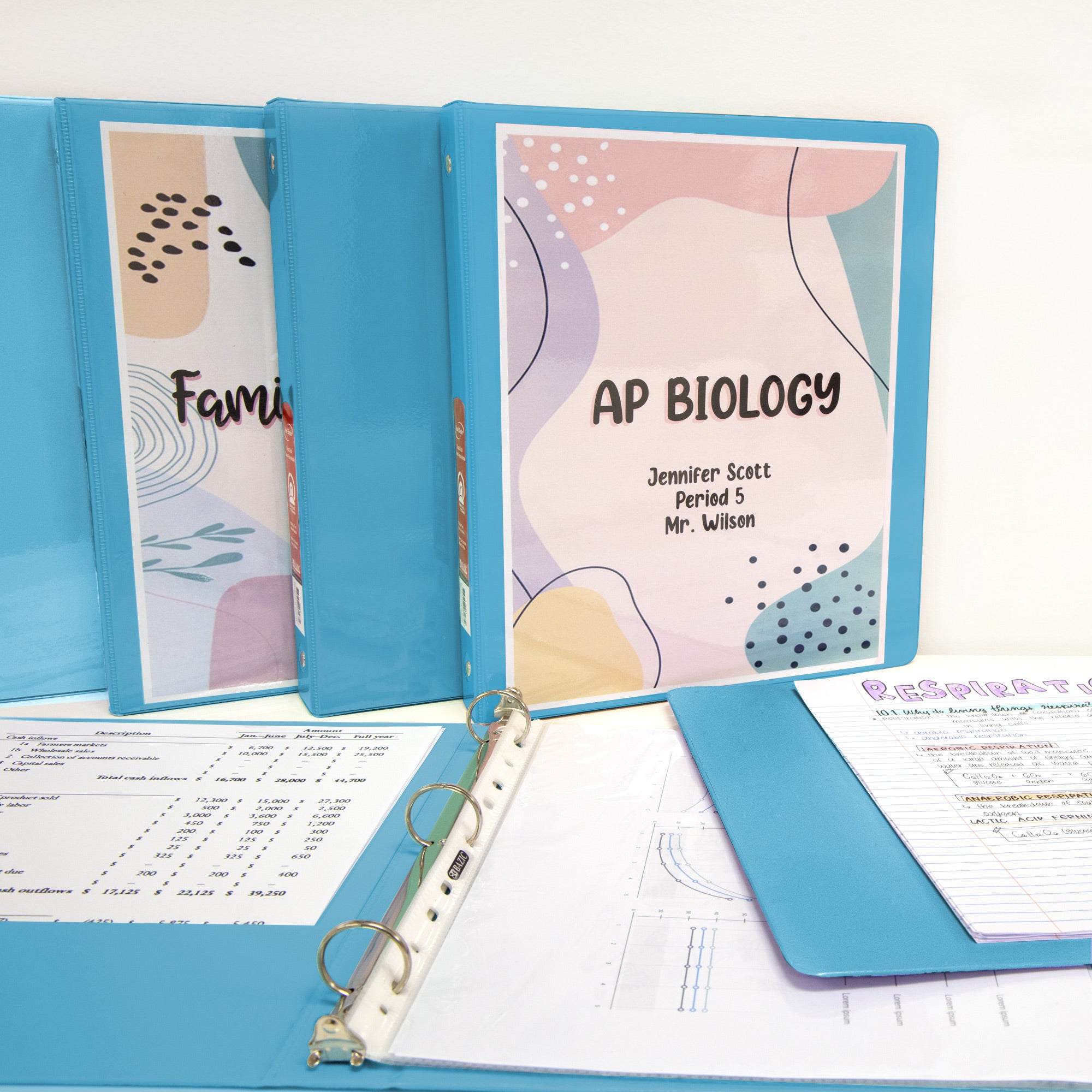 1 Inch View Binder, Holds Up to 175 Sheets