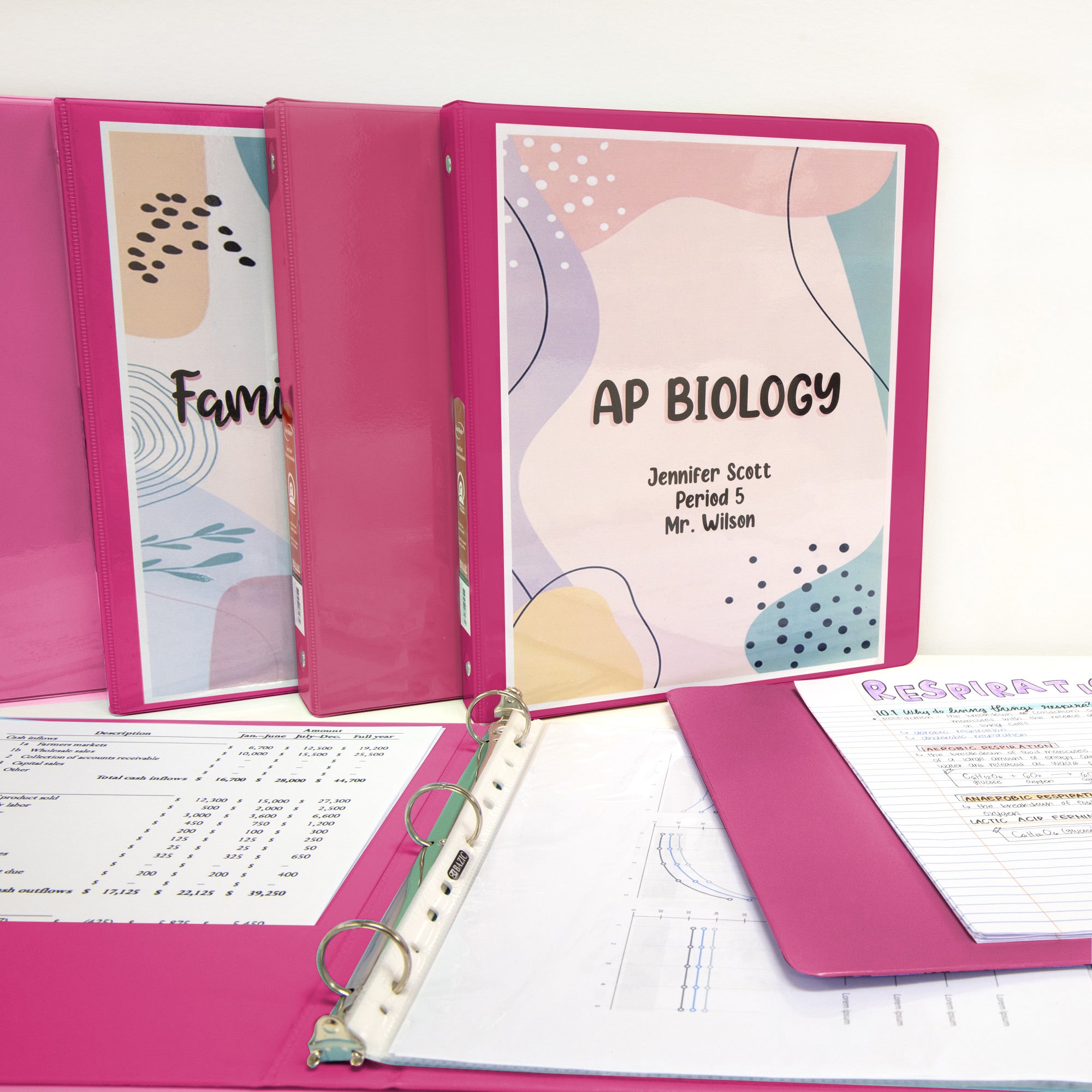 1 Inch View Binder, Fuchsia, 3 Ring, Holds 175 Sheets
