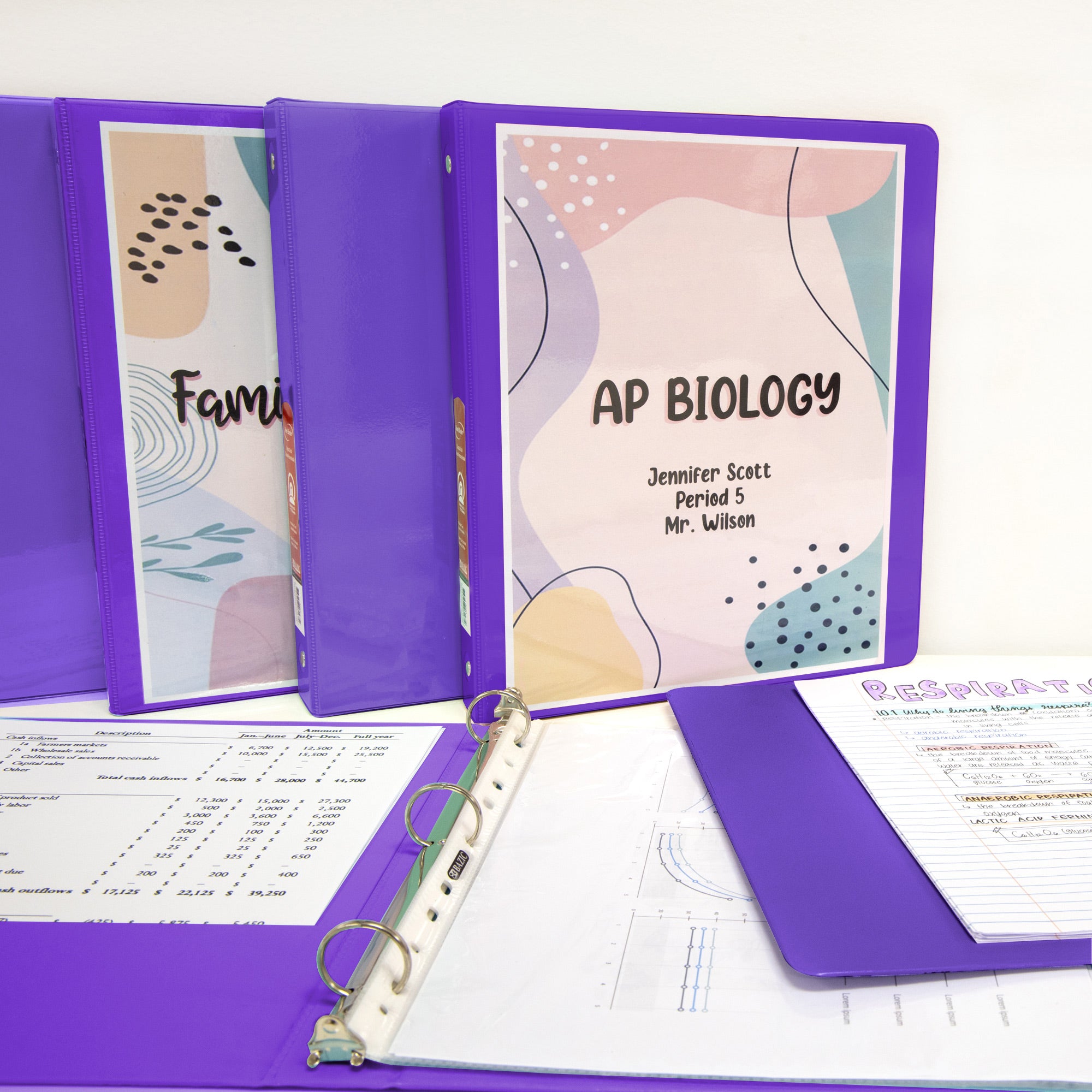 1 Inch Purple View Binder, 3 Ring, Holds 175 Sheets