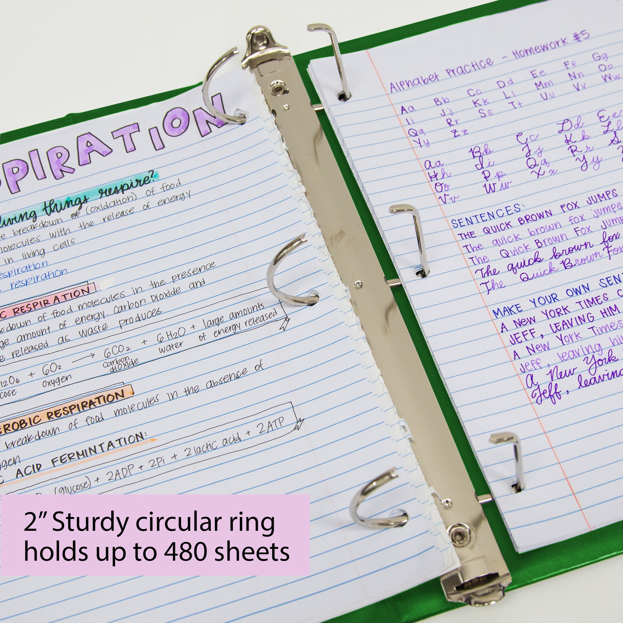 2 in Green Slant-D Ring View Binder, Durable Poly Cover