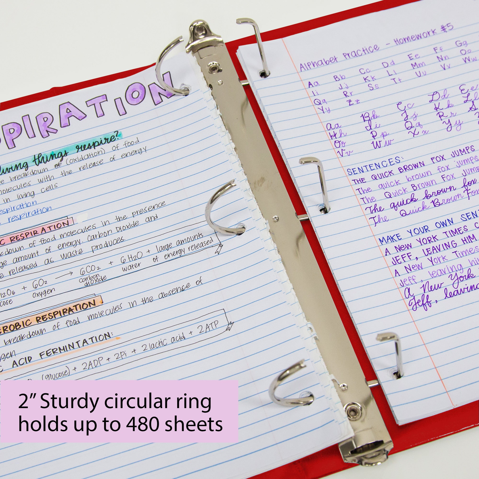 2 in Red Slant-D Ring View Binder, Durable Poly Cover