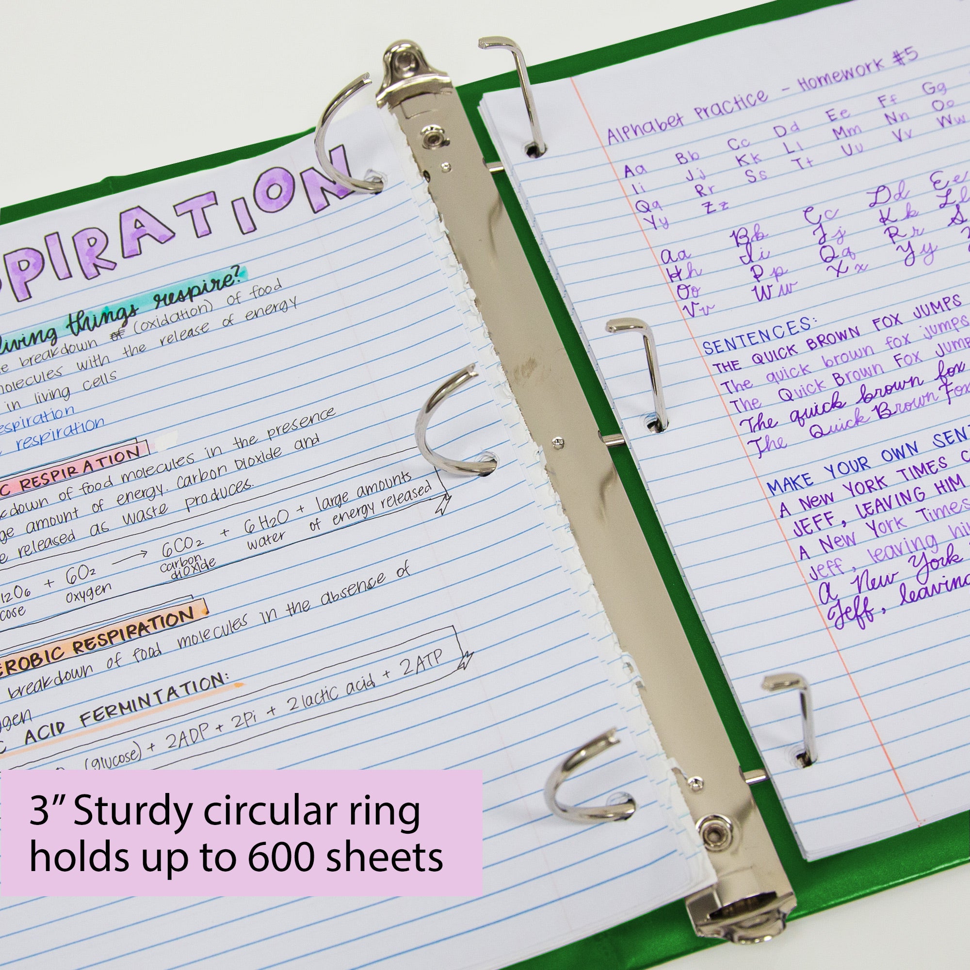 3" Green 3-Ring View Binder, Slant-D Ring, 2 Pockets