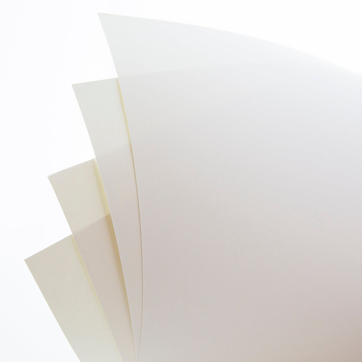 Four white poster boards fanned out in a close-up, showing blank surfaces and slightly curved edges.