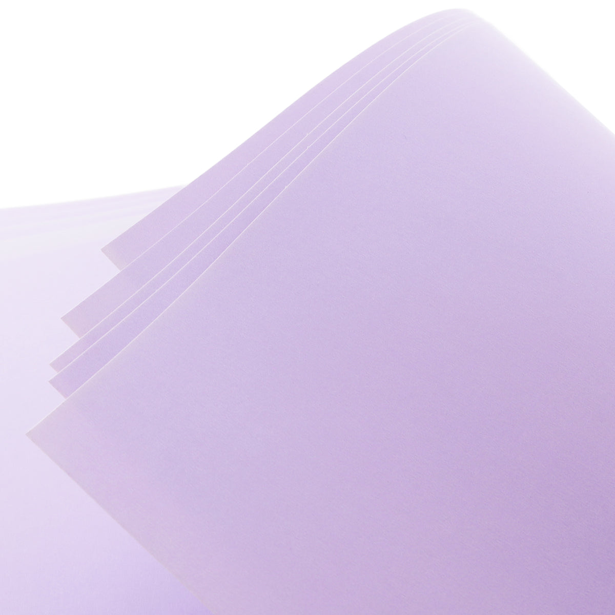 Lavender Poster Board, 22 x 28 in