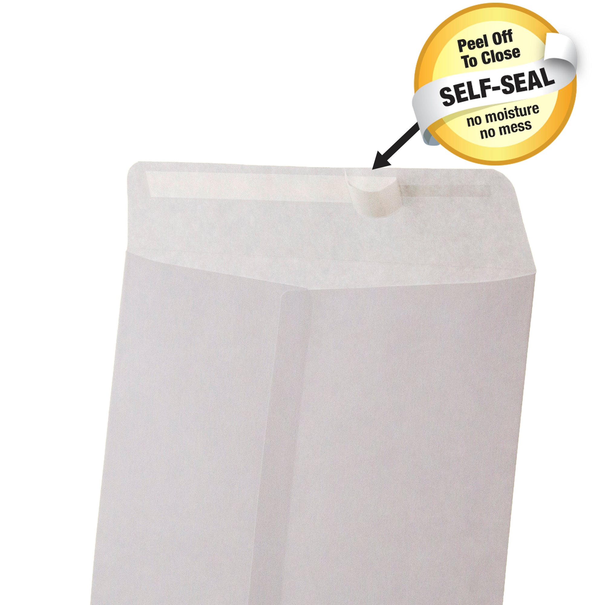 Self-Seal White Envelope 6&quot; x 9&quot; (6/Pack)
