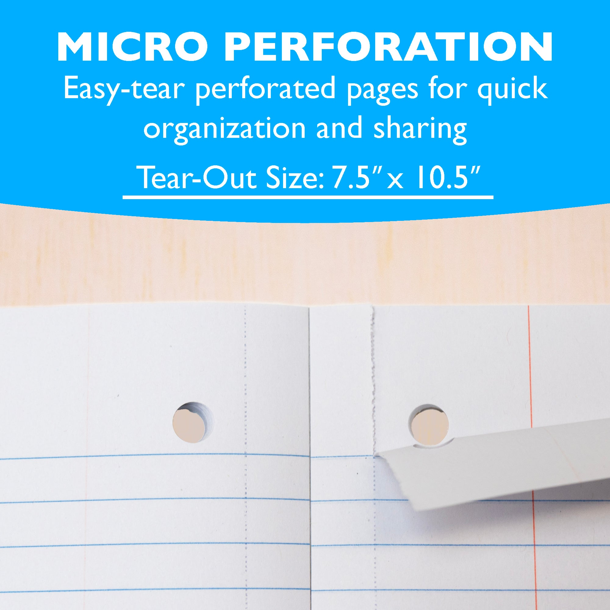 1 Subject Notebook, Wide Ruled, 80 Sheets, 10.5" x 8"