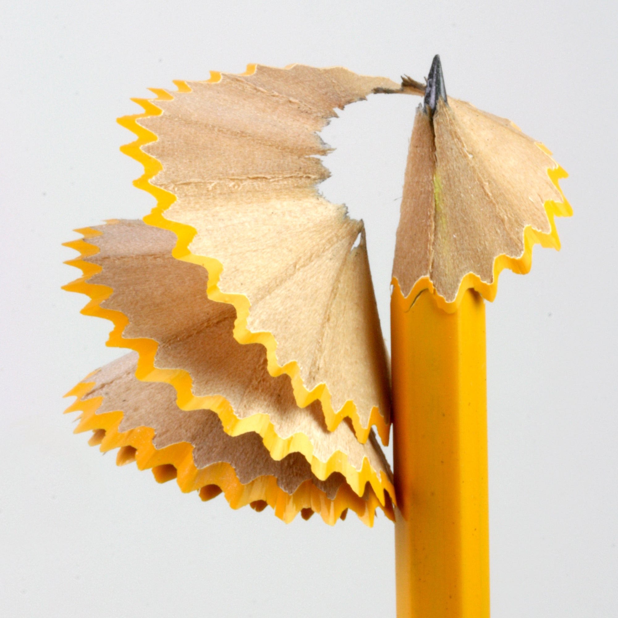 Pre-Sharpened #2 HB Pencils, 144 Count, Premium Quality