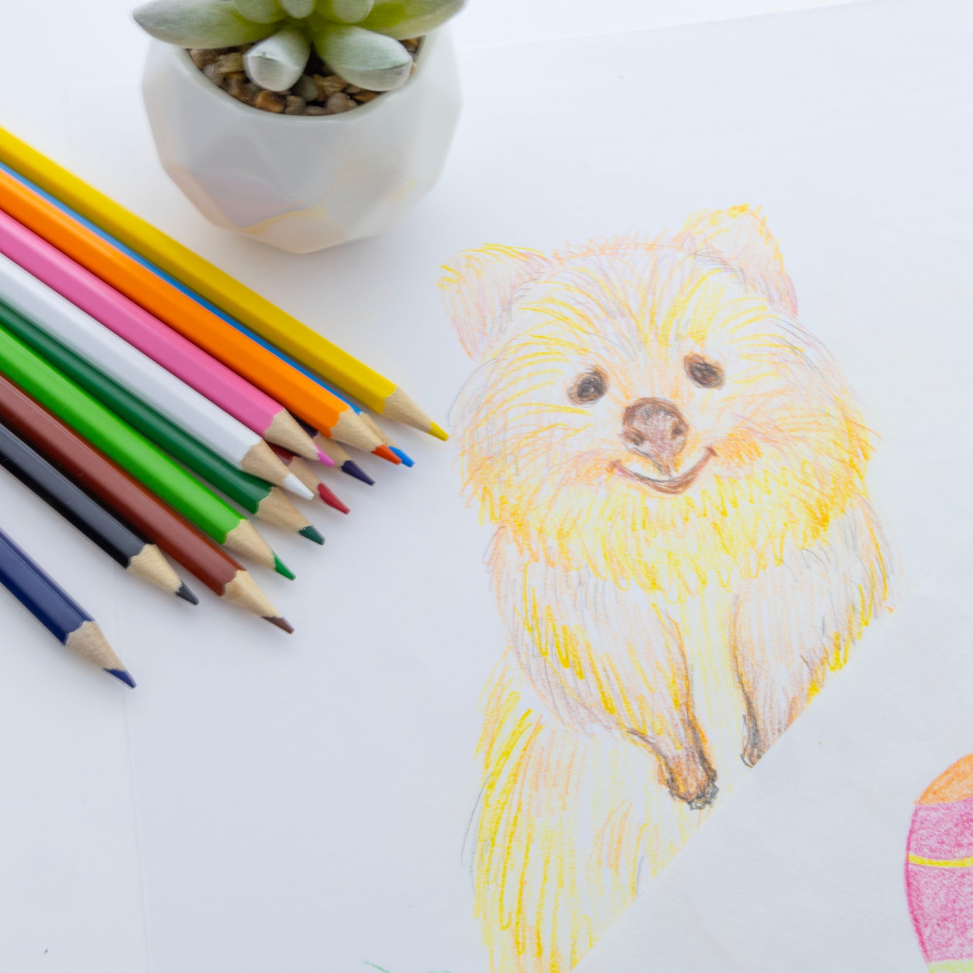 Colored Pencils, 12 Pre-Sharpened Colors