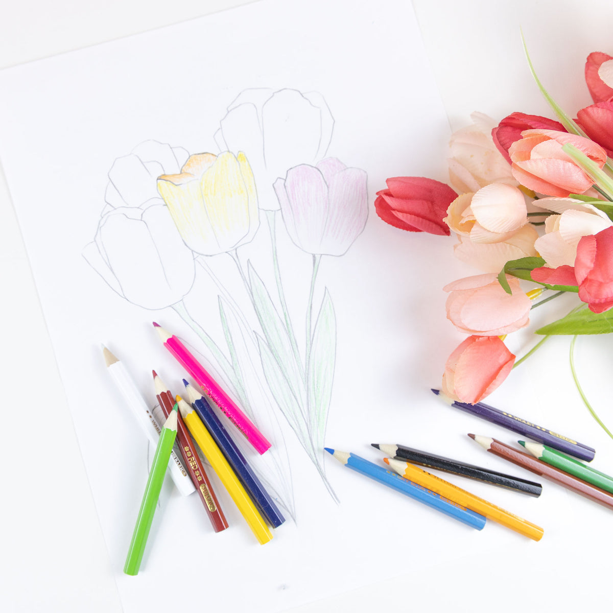 Mini Colored Pencils, Pre-Sharpened
