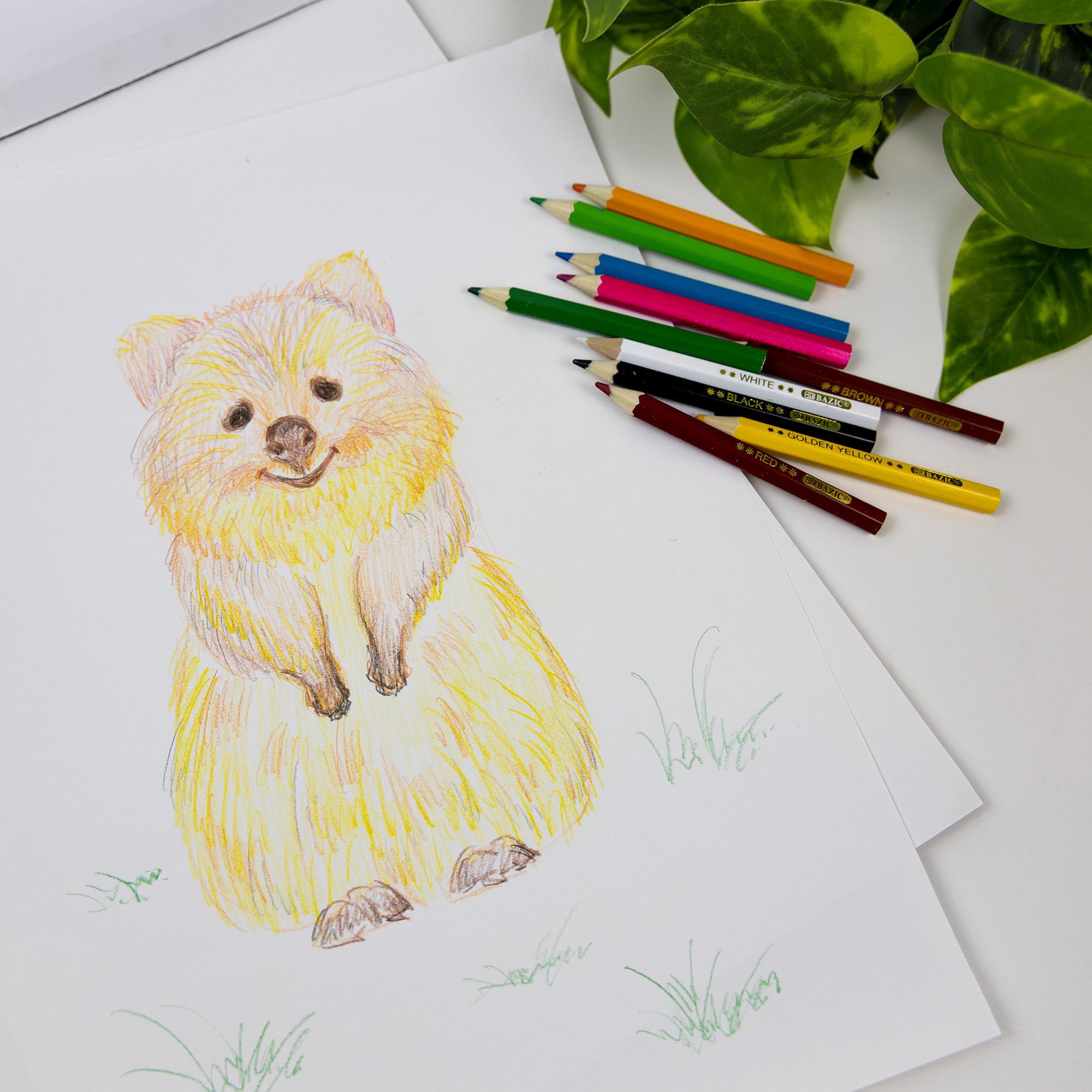 Mini Colored Pencils, Pre-Sharpened, 12 Count