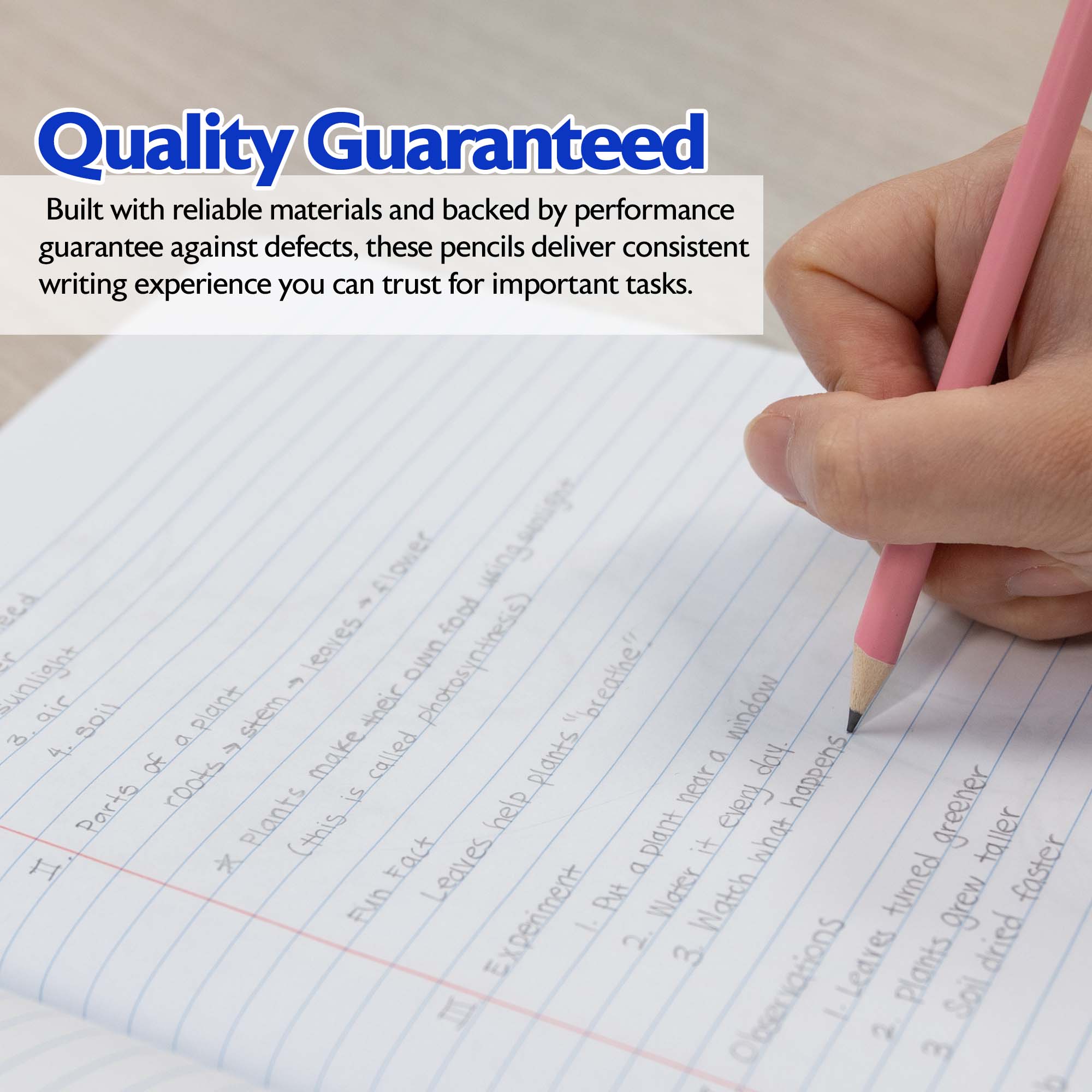 Pastel Pencil w/ Eraser (8/pack)