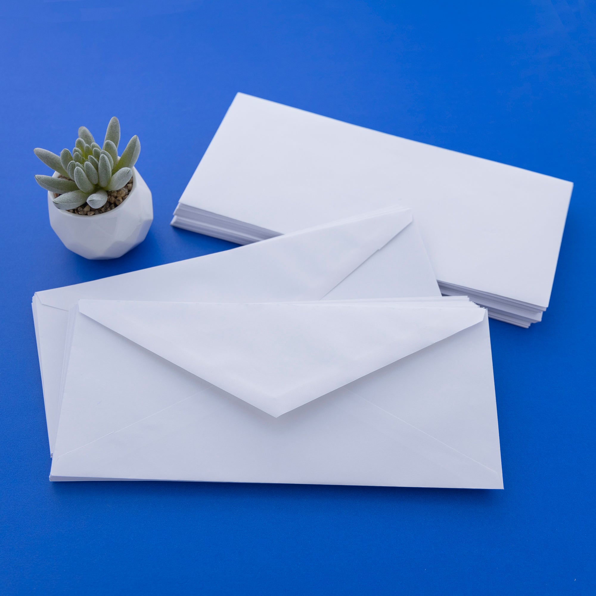 #10 Gummed White Envelopes