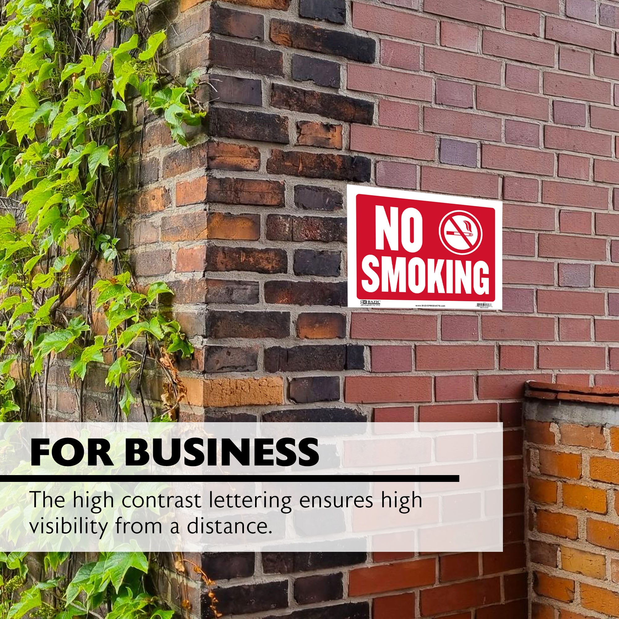 No Smoking Sign, 12 x 16 in, Weather Resistant