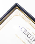 8.5" X 11" Document Frame w/ Gold Border