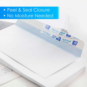 #6 3/4 Self-Seal Security Envelope (55/Pack)