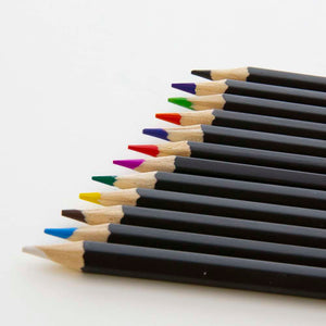 Color Pencil Designer Series (12/Pack)