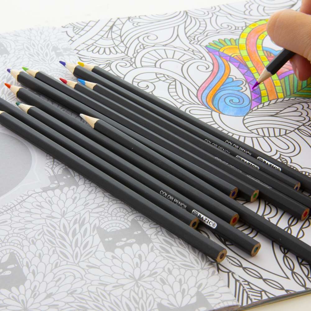 A4 Clear Pencil Case 12pk, Pencils & Accessori